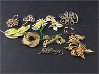 Ladies costume brooch collection