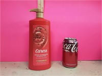 New 25.4oz Caress Exfoliating BodyWash