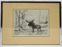 Tom Sanders etching - Moose