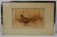 Tom Sanders etching - Pheasant