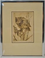 Tom Sanders etching - Owl