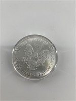 2018 Silver Eagle