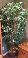 L - FAUX TREE IN PLANTER 80"T (O1)