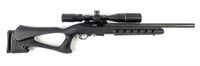 Gun Ruger 10/22 Custom Semi Auto Rifle in .22LR