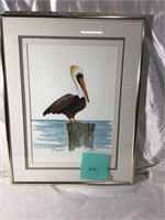 Pelican Watercolor (Pat Applegate)
