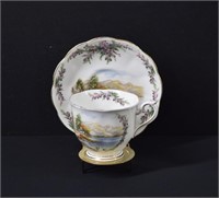 Royal Albert Road to the Isles Tea Cup & Saucer