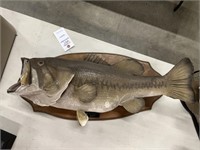 mounted largemouth bass & fas-n-aider