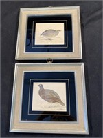 Pair OF 10.5 x 11.5 Pictures Red Grouse And Quail