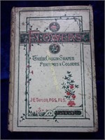 1906 Flowers: Origin, Shape, and Perfumes