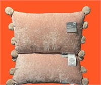2 New Throw Pillows $20 value