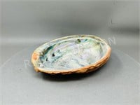 large Abalone shell