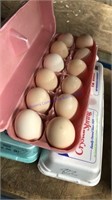 3 Doz Med / Lg Eating Eggs