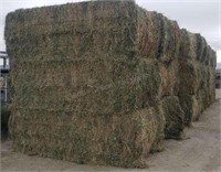 3 Bales-- 3rd Cutting Alfalfa