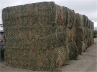 3 Bales-- 3rd Cutting Alfalfa