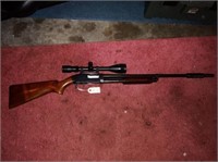 Winchester model 25, 12 gauge pump shotgun,