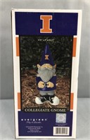 University of Illinois gnome