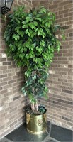 Artificial Ficus Plant has brass planter with