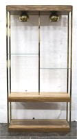 Mid Cent Mod Contemporary Lighted Display Shelf