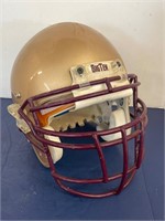 University Of Minnesota Football Helmet