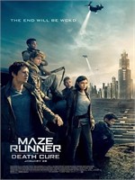 The Maze Runner Movie Poster D/ Sided - 27"×40"