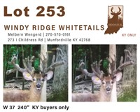 W 37  240"  KY buyers only