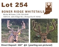 Direct Deposit  300"  @4  (yearling son pictured)