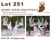 W 64 170"  KY buyers only