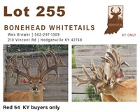 Red 54  KY buyers only