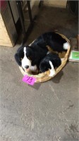 Basket with stuffed dogs