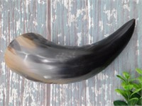 DRINKING HORN