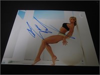Torrie Wilson signed 8x10 photo JSA COA