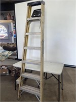 8ft Ladder