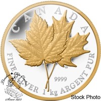 2013 $250 Maple Leaf Forever - Pure Silver Kilo Co