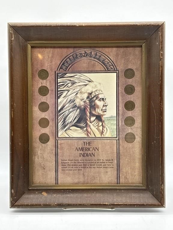 Indian Head Penny Collection Framed