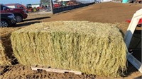 (20) Large Grass Hay Bales