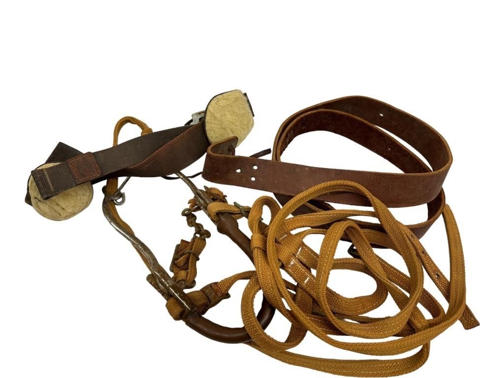 Leather Horse Bit and Saddle Items