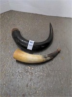 2 hollowed out cow horns