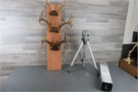 SET OF THREE MOUNTED ANTLERS / TRIPOD