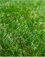 82 Ft Luxelawn Artificial Grass Rolls