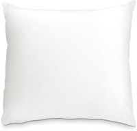 SM1263  Foamily Throw Pillow Insert 18 x 18â€³, US