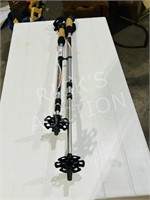 Mountain Profile adjustable hiking poles