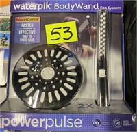 Waterpik bodywand shower head