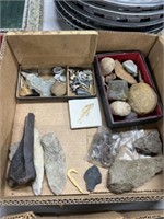 Fossils and rocks
