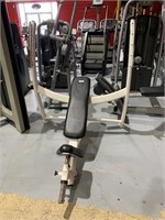 Cybex Incline Olympic Bench