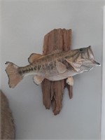 Mounted Largemouth Bass on Driftwood