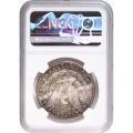 Certified Morgan Dollar 1880-S MS63 NGC toning (B)