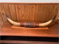 Longhorn cattle horns mounted