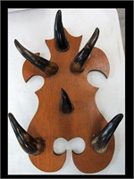 NICE SIX HORN HAT RACK