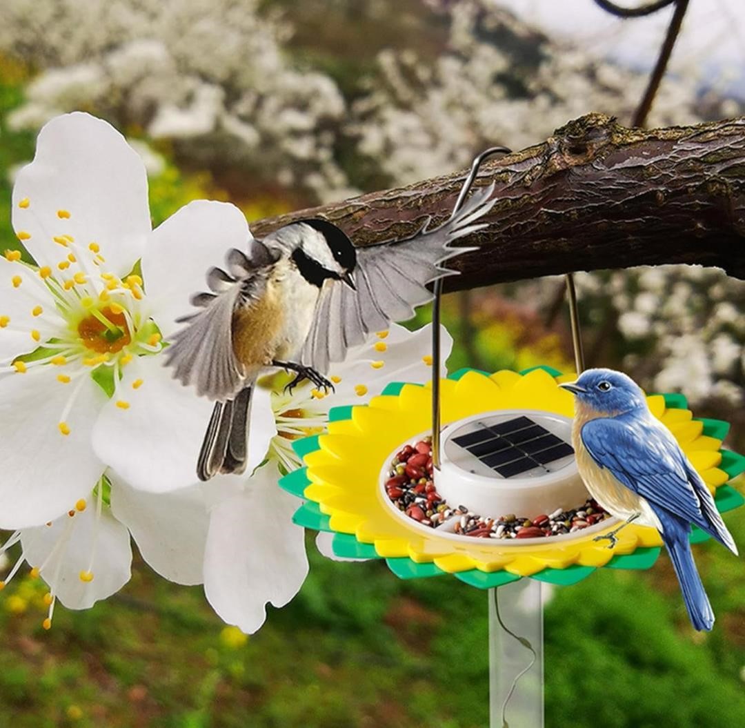 Solar Led bird feeder