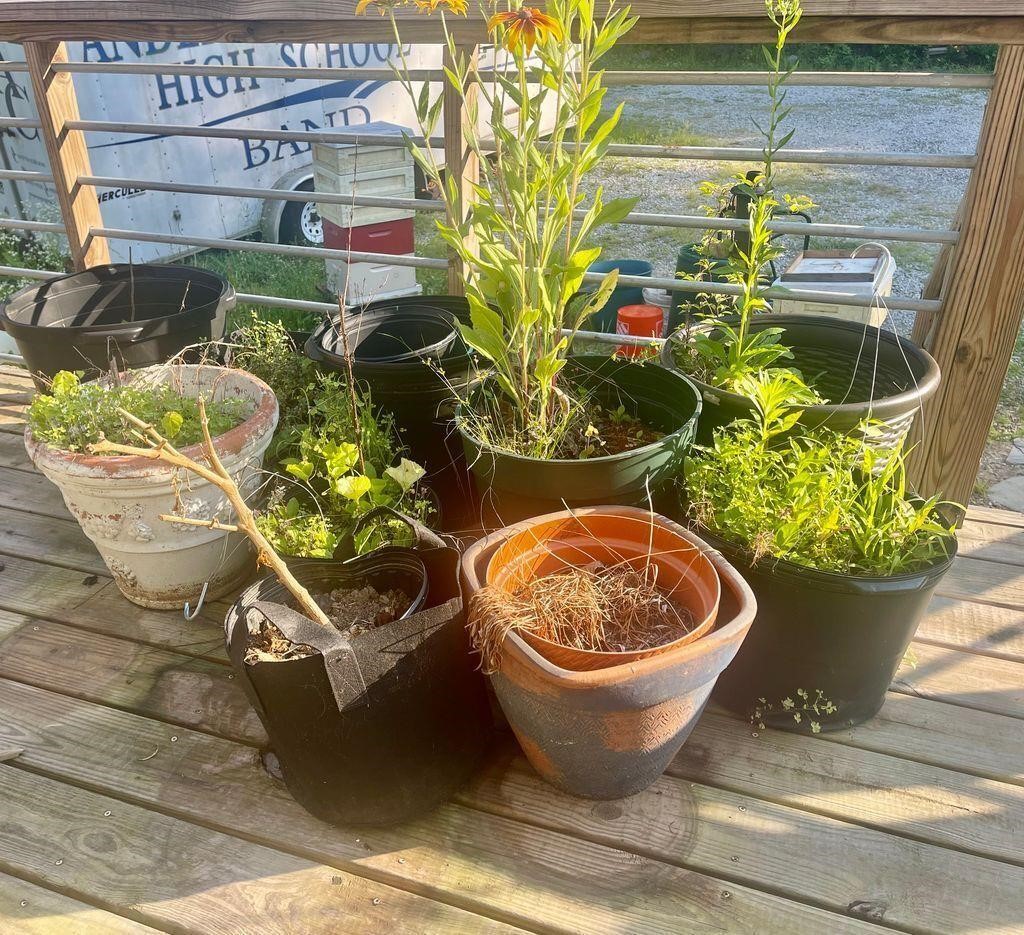 Assorted planters and pots with floral